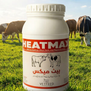 HEATMAX Fertility and Reproductive Booster for Livestock