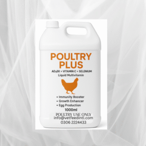 Poultry Plus+ | Immunity, Growth & Egg Production Booster