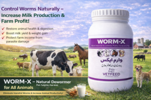 Natural deworming for healthier livestock